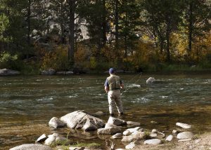 Man fishing the Taylor River